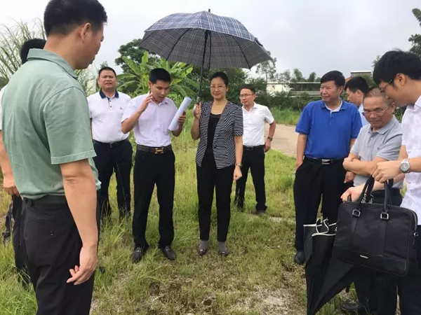 2017 7.26   河源市副市长朱蔚蔚女士及有关部门领导深入了解绿然灯塔农产品物流园前期工作进展情况